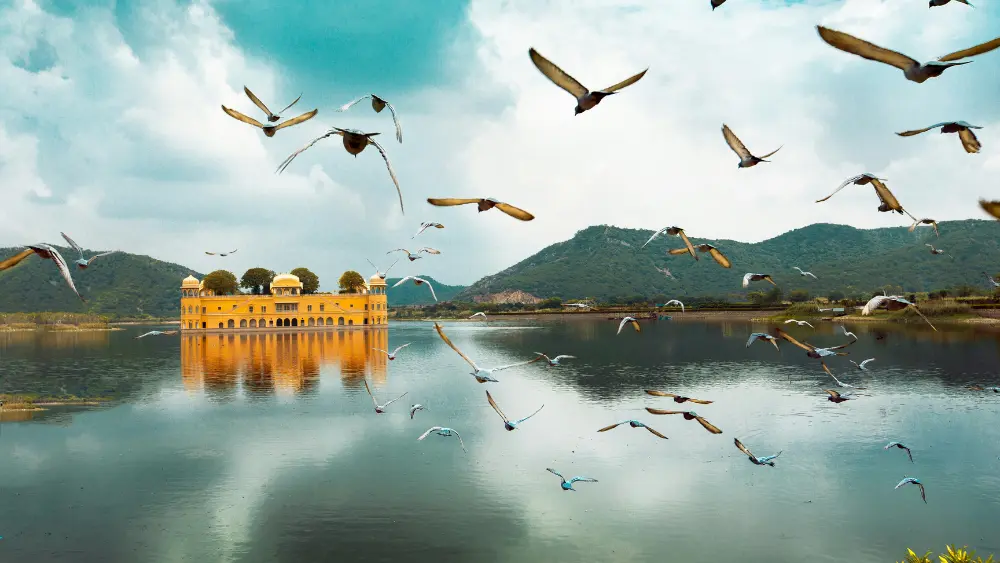 This image depicts the Jal Mahal, or "Water Palace," situated in the middle of Man Sagar Lake in Jaipur, Rajasthan, India.